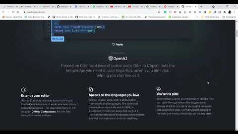 The Truth about Github Copilot // AI Programming First Look