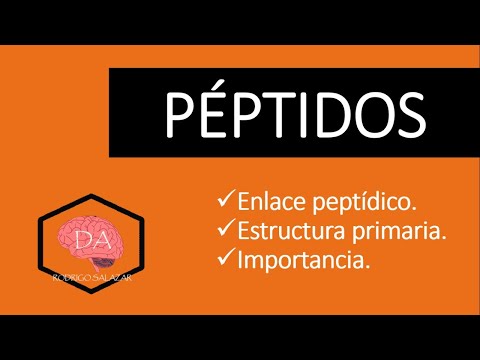 Video: ¿Qué tan fuerte es un enlace peptídico?