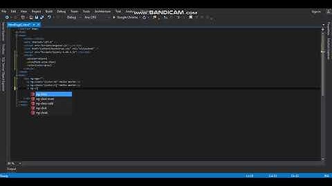 Visual Studio Angular Tutorial 4-ng-model and ng-class(Angular For Beginners)