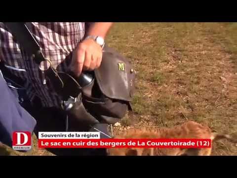 Vidéo: Sac De Berger Ordinaire