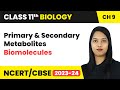 Primary and Secondary Metabolites, Biomacromolecules - Biomolecules | Class 11 Biology Chapter 9