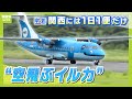 &ldquo;空飛ぶイルカ&rdquo;天草から関西に1日1便やってくるレア飛行機『みぞか号』 機内で&ldquo;みぞか日記&rdquo;をつける少年などファン多数「みんなの支えがあって元気に泳いでる」【MBSニュース特集】(2024年9月6日)
