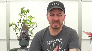 Chilli Sauce Review - Hellfire Hot Sauce - Devils Gold