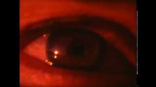 Arp - Pulsars e Quasars [Official Video]