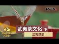 《跟着书本去旅行》 武夷茶韵——武夷茶文化（下）20200707 | CCTV科教