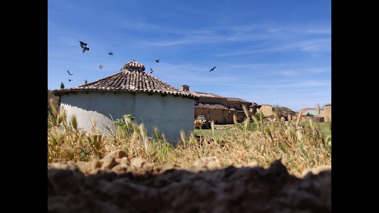 El Convento de Clarisas de San Bernardino de Cuenca de Campos. Recuerdos y futuro.