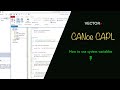 Canoe capl  how to use system variables