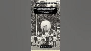 anak-anak menerbangkan balon udara saat menyambut lebaran idul fitri di Ponorogo,1909 #shorts