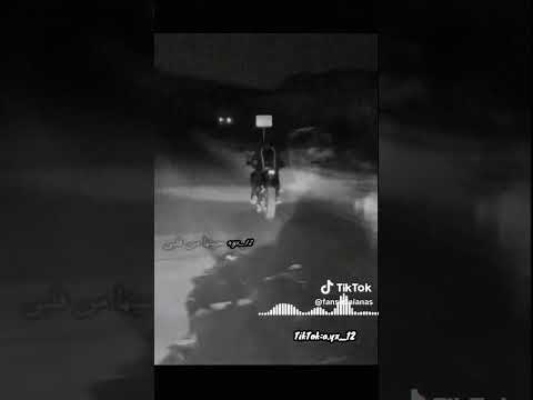 انس ابو سنينه 