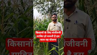 किसानों को राहत देगी ये योजना कम मानसून में kisano ko rahat kam mansoon me #kisan cg