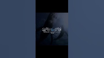 الشيخ عمير شميم فى اروع تلاوات وقراءات القران الكريم بصوت عذب ليس له مثيل
