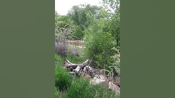 ELC Fort Collins, CO