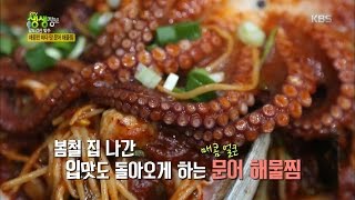2TV 생생정보 - 팔도강산 맛수, 매콤한 바다 맛! 문어 해물찜.20160426