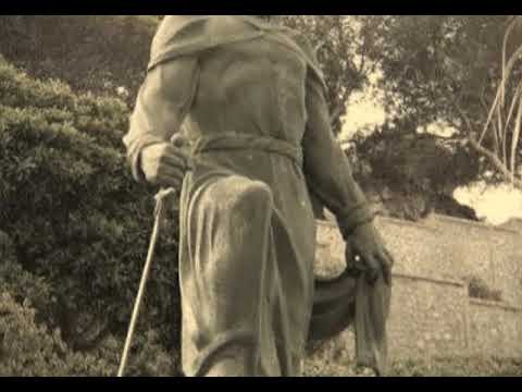 تبد ت لنا وسط الر صافة نخلة