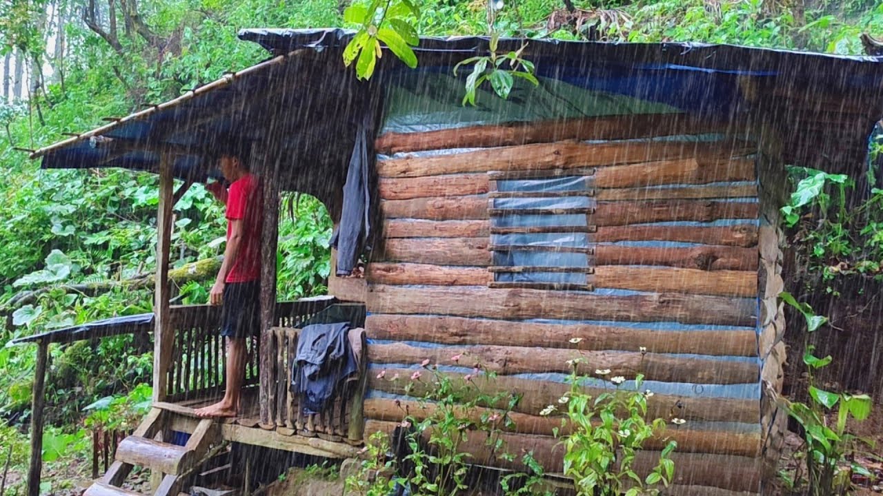 Bertahan Hidup Di Hutan - Mengurus Kebun Kopi Menanam Pohon Pisang - Di Guyur Hujan Deras 