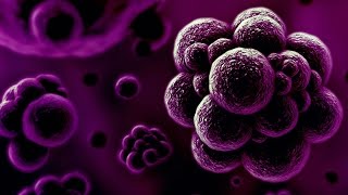 Drug-resistant superbug could be spreading more rapidly than anticipated HD video Image of Drug-resistant superbug could be spreading more rapidly than anticipated HD video