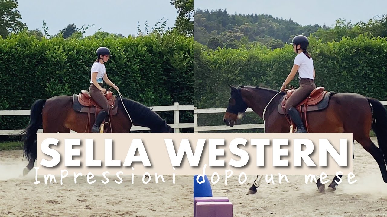 SELLA AMERICANA 🇺🇸🐴 Impressioni dopo due mesi… #chatwithme w/Le Selle Italiane