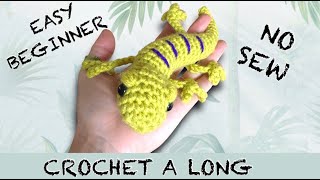 CROCHET LIZARD EASY NO SEW BEGINNER CROCHET A LONG AMIGURUMI