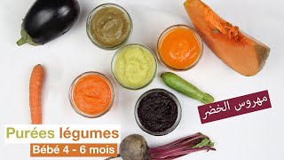 5 وصفات مهروس الخضر مهمة للرضع | أول أكلات الرضع من عمر 4 - 6 أشهر