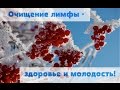 Очищение лимфы - здоровье и молодость!