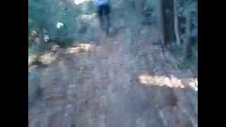 20120103ケロ2