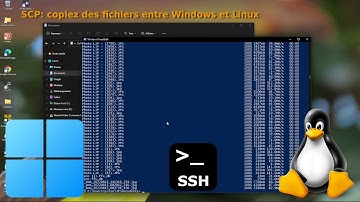 Copier des fichiers et dossiers entre Windows 11 et Linux