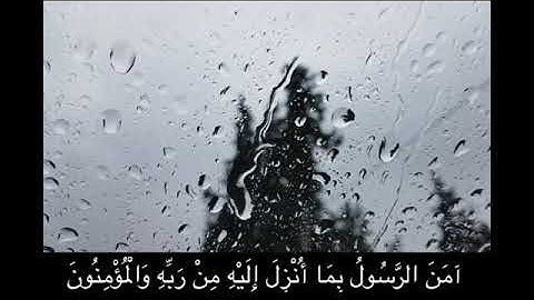 اخر ايتين من سورة البقرة — بصوت هادئ للقارئ وديع اليمني #قران #وديع_اليمني