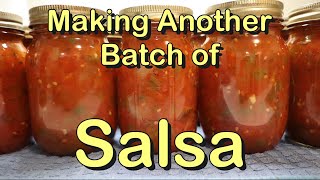 Making Another Batch of Salsa