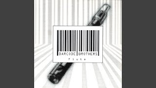 Video thumbnail of "Barcode Brothers - Flute (Radio Edit)"