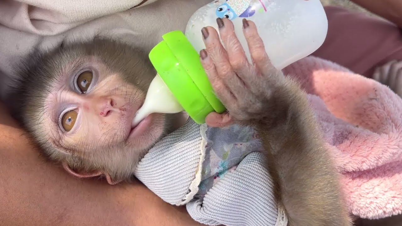 Jessa Baby Assuming Enjoy Milk Drinking Very Much!