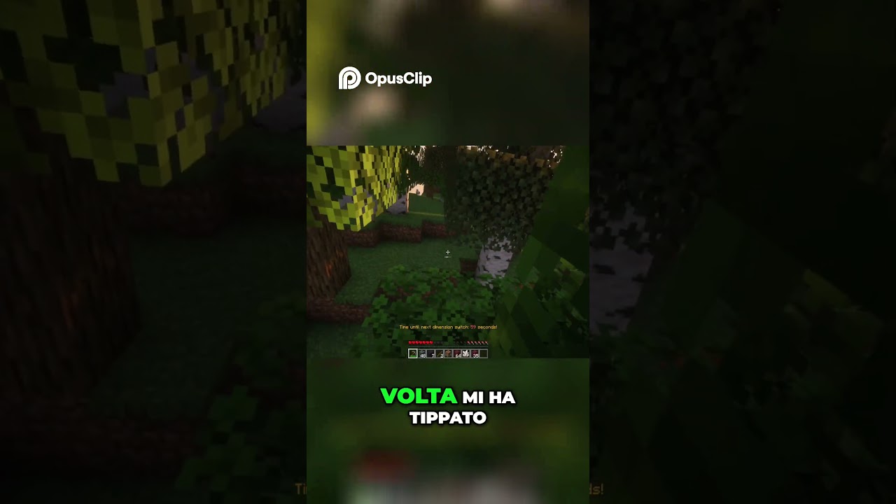 Minecraft Nether  Sopravvivere alla Lava e al Void!