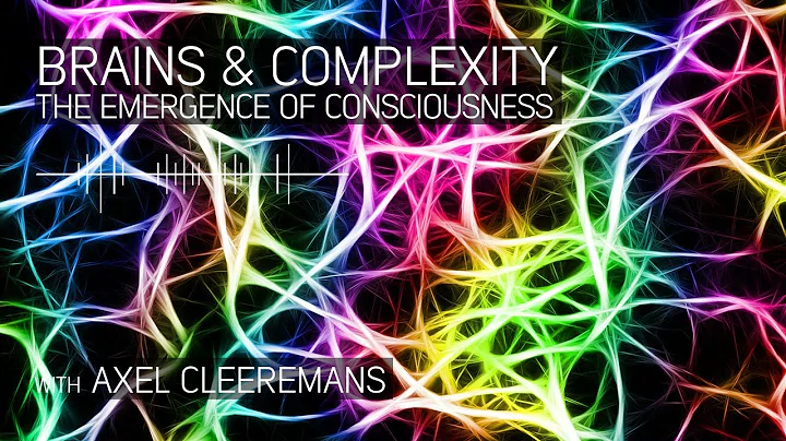 Brains and Complexity: the Emergence of Consciousn...