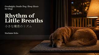 Rhythm of Little Breaths | Goodnight, Gentle Dog: Sleep Music for Dogs | Calming Pet Music