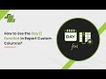 How to Use the Day Function in Report Custom Columns ?