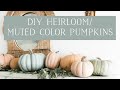 DIY Muted Color Heirloom Pumpkins