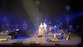 Nick Cave &amp; Warren Ellis - Lavender Fields - Live at Carré