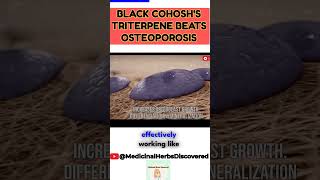 ????Black Cohosh for Osteoporosis????