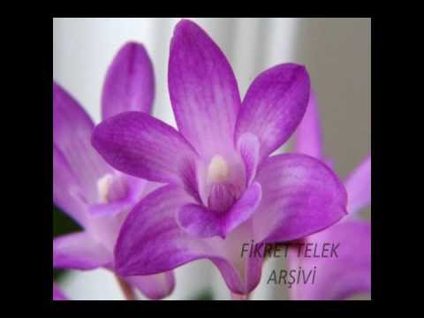 NESRİN SİPAHİ-SÛZİDİL PEŞREV&BİLMEDİK YÂRİ Kİ BİZDEN BU KADAR GAFİL İMİŞ