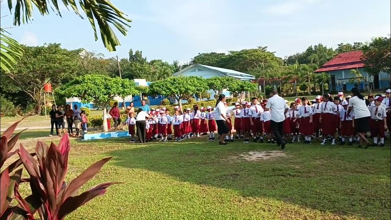 Penerimaan Peserta Didik Baru T.A 2024/2025 sdsignatius Loyola 🙏 YouTube