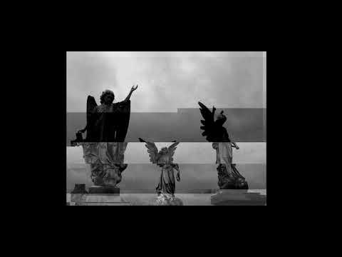    مشروع ليلى اصحابي   