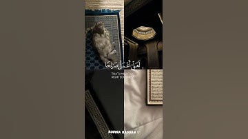 وقل رب اعوذ بك من همزات الشياطين | سورة المؤمنون (97:100) القارئ إدريس ابكر #quran #قران_كريم #islam