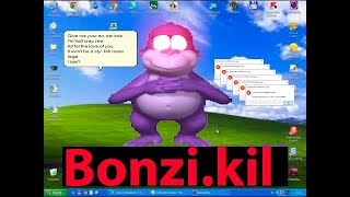 BONZI.KILL exe -ЧТО ТАКОЕ?