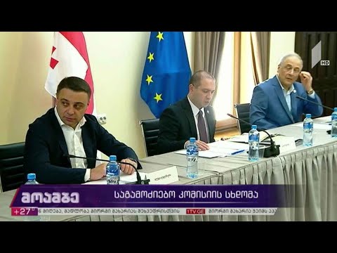 საგამოძიებო კომისიის სხდომა