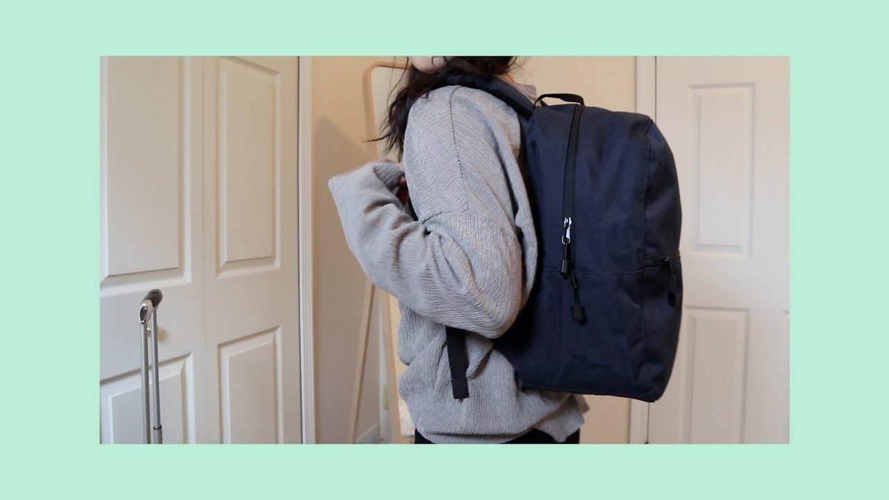 Everlane ReNew Transit Backpack Review - Everlane's Best Travel