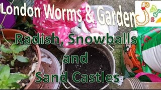 Fun planting Radish