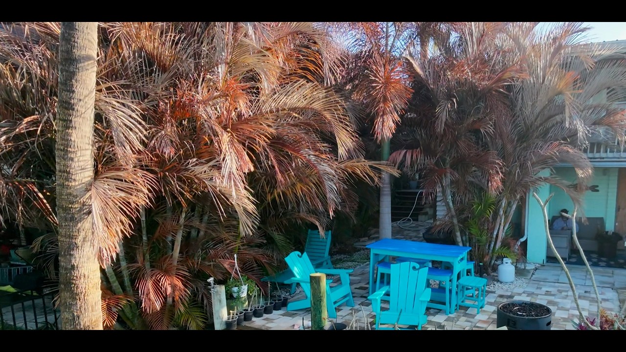 The Freeze has destroyed our Landscaping!!! But we are already building back better!!!