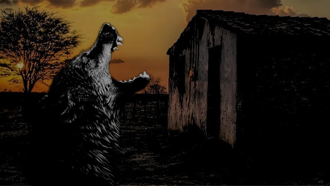 A NOITE DOS CÃES LOUCOS.