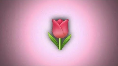 introducing some of my friends in my whatapp numbers/... xml file@zavier077 😇🔰🔰