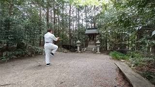 琉球古武道トンファー術(型)屋良小のトンファー　RYUKYU KOBUDO TONFA (KATA) YARAGUWA NU TONFA　沖縄空手　OKINAWA KARATE 