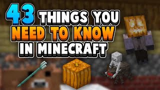 43 Things You NEED To Know About Survival Minecraft